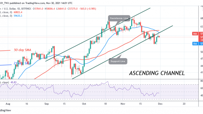 Bitcoin (BTC) Price Prediction: BTC/USD Faces another Rejection at $58k as Sellers Threaten To Short