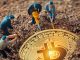 Bitcoin hits milestone with 90% of BTC supply mined
