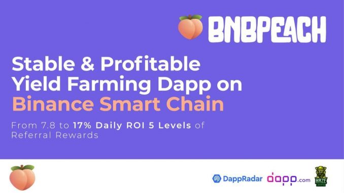 Stake BNB for Daily ROI