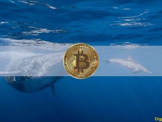 Bitcoin Whale Addresses Reach 10-Month High