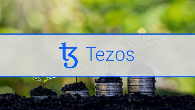 The Tezos Network and its Silent Growth Over the Past Year