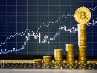 Willy Woo: Bitcoin (BTC) ‘Seems a Bit Undervalued’