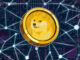 Dogecoin eyes 'oversold' bounce as DOGE price gives up 90% of yearly gains