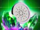 Cardano (ADA) Price Halts: Crucial Support Test Before More Upside?